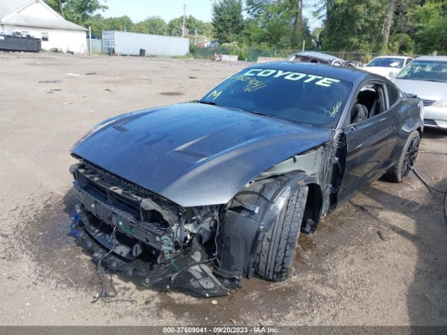 Photo 1 VIN: 1FA6P8CF0K5194156 - FORD MUSTANG 