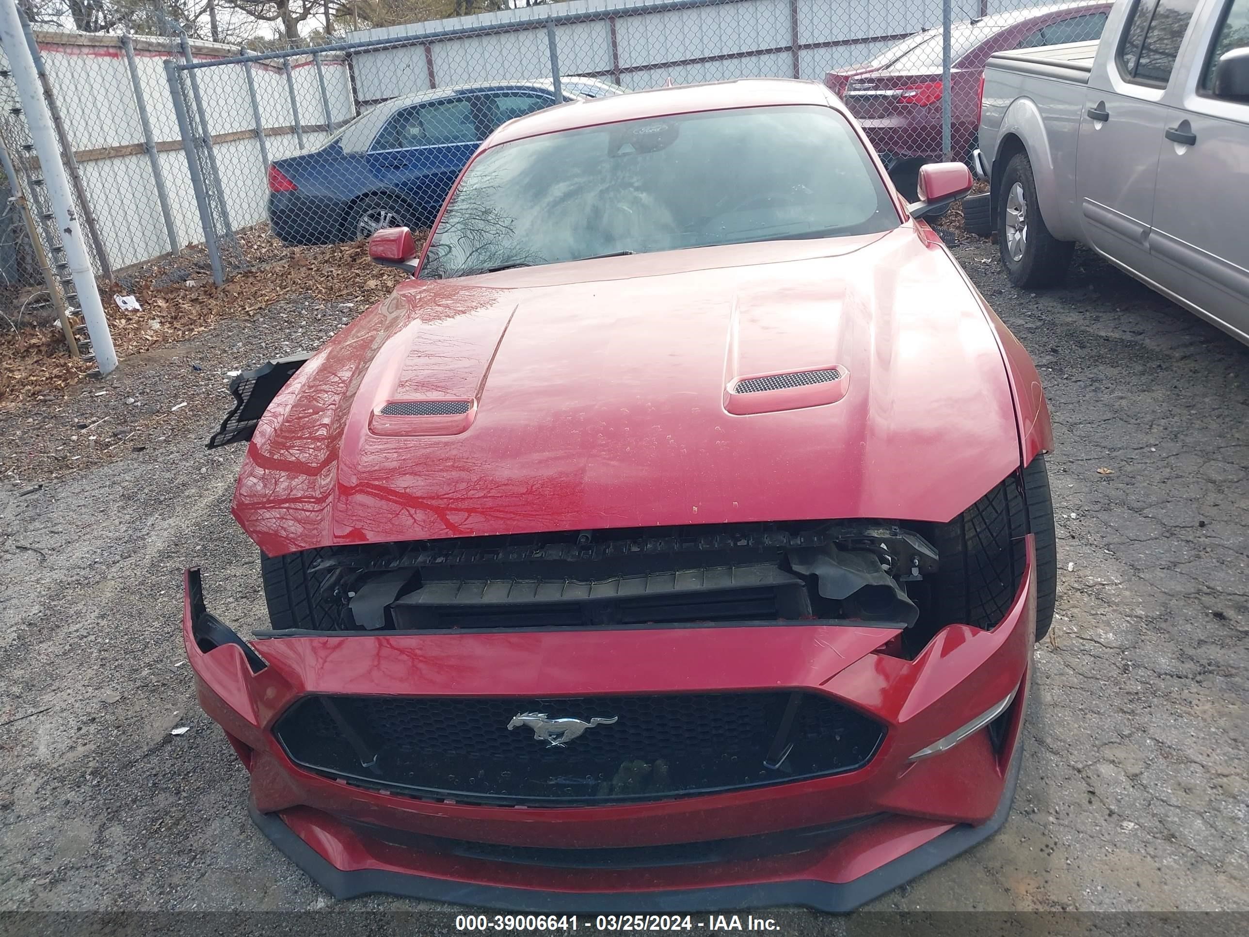 Photo 11 VIN: 1FA6P8CF0M5141556 - FORD MUSTANG 