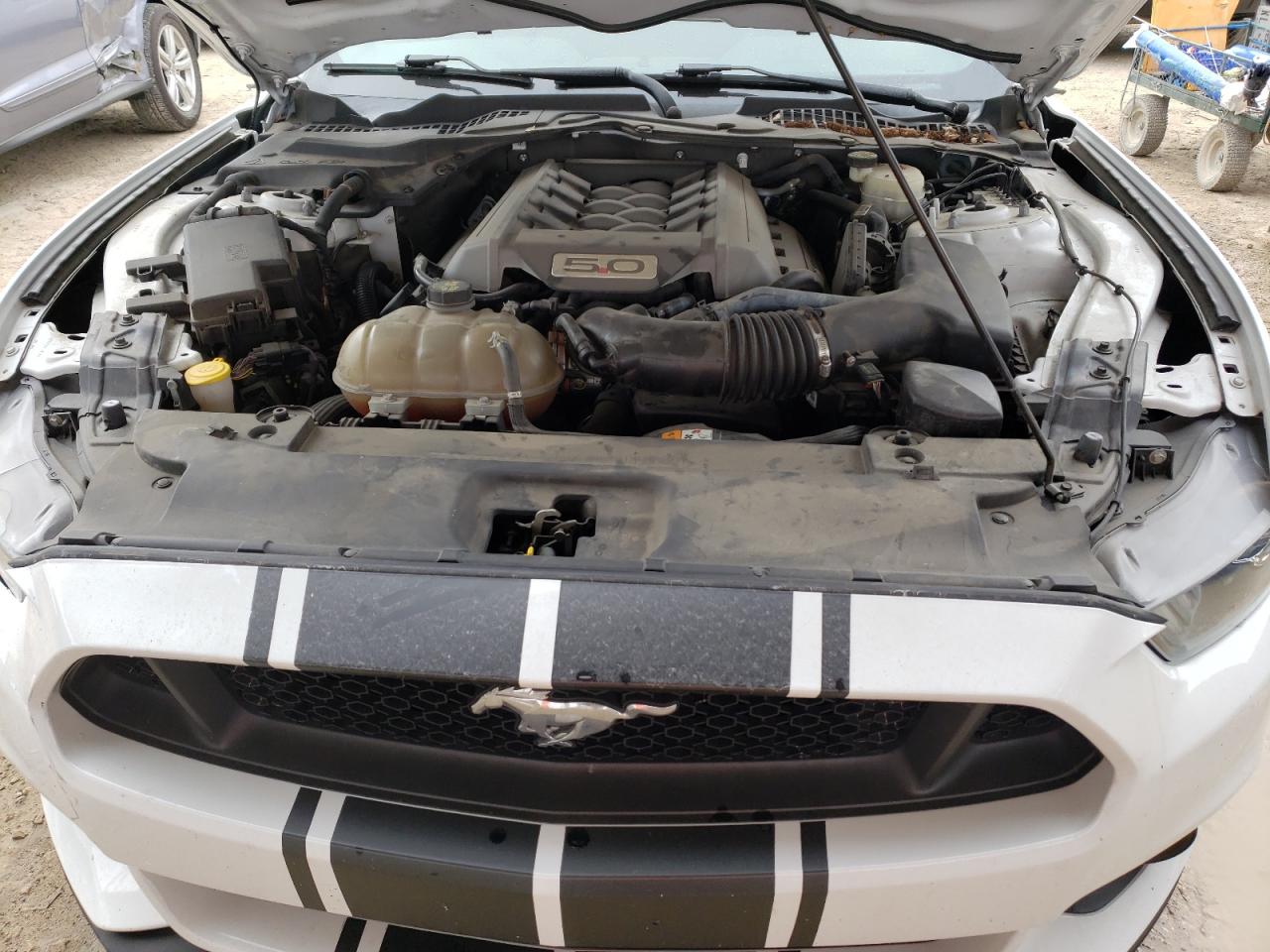 Photo 10 VIN: 1FA6P8CF1F5425152 - FORD MUSTANG 