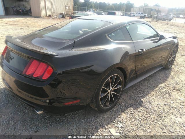 Photo 3 VIN: 1FA6P8CF1G5215250 - FORD MUSTANG 