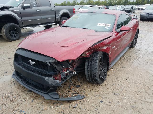 Photo 1 VIN: 1FA6P8CF1G5267204 - FORD MUSTANG GT 