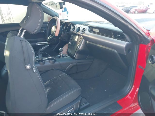 Photo 4 VIN: 1FA6P8CF1H5255958 - FORD MUSTANG 