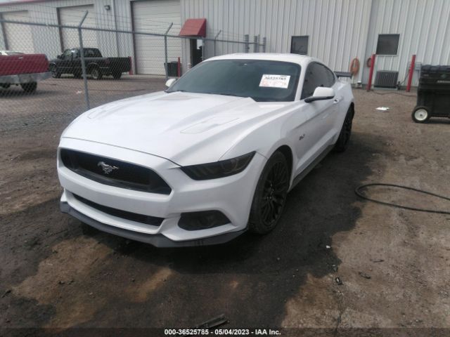 Photo 1 VIN: 1FA6P8CF1H5309677 - FORD MUSTANG 