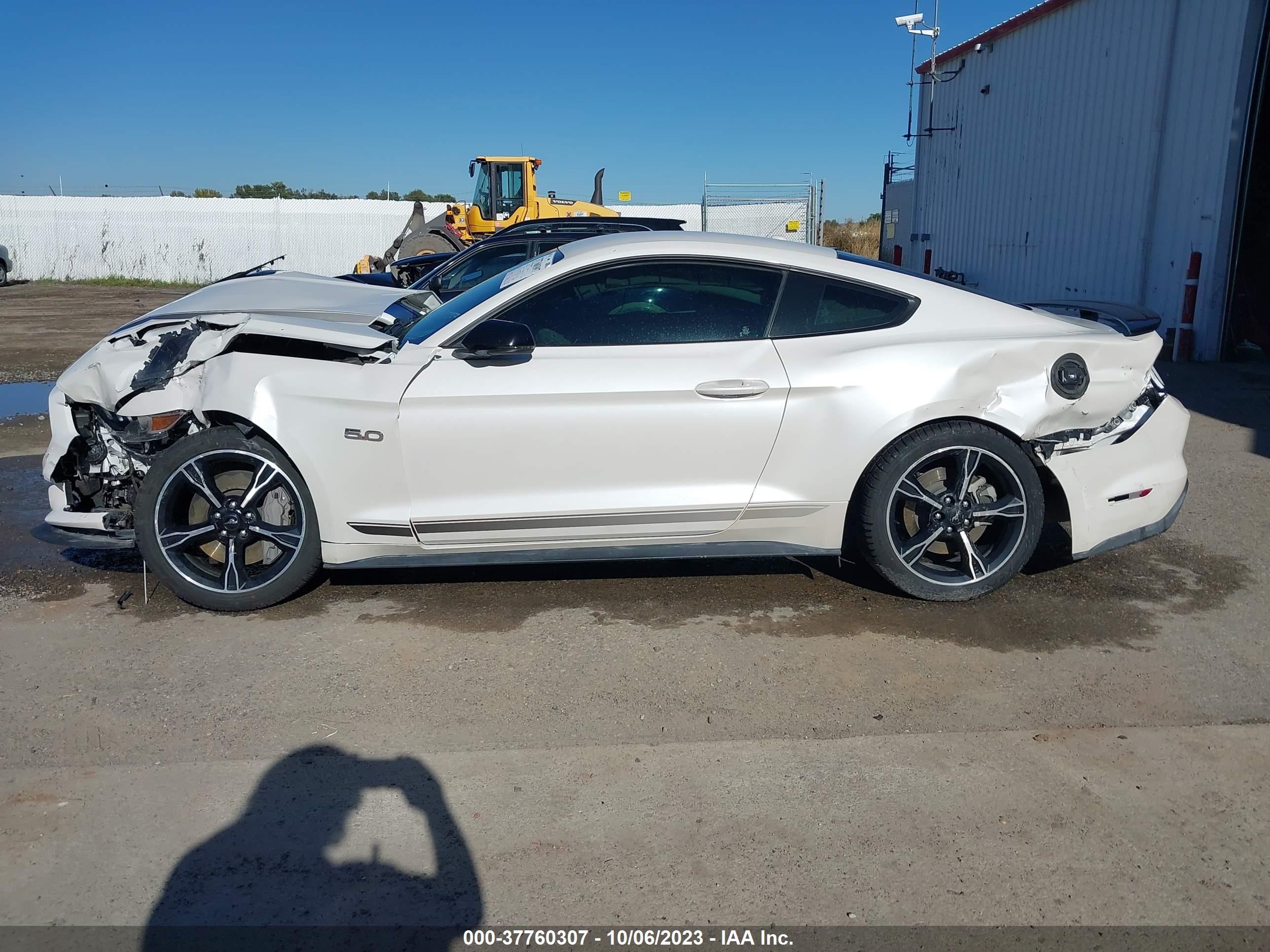 Photo 14 VIN: 1FA6P8CF1H5323918 - FORD MUSTANG 