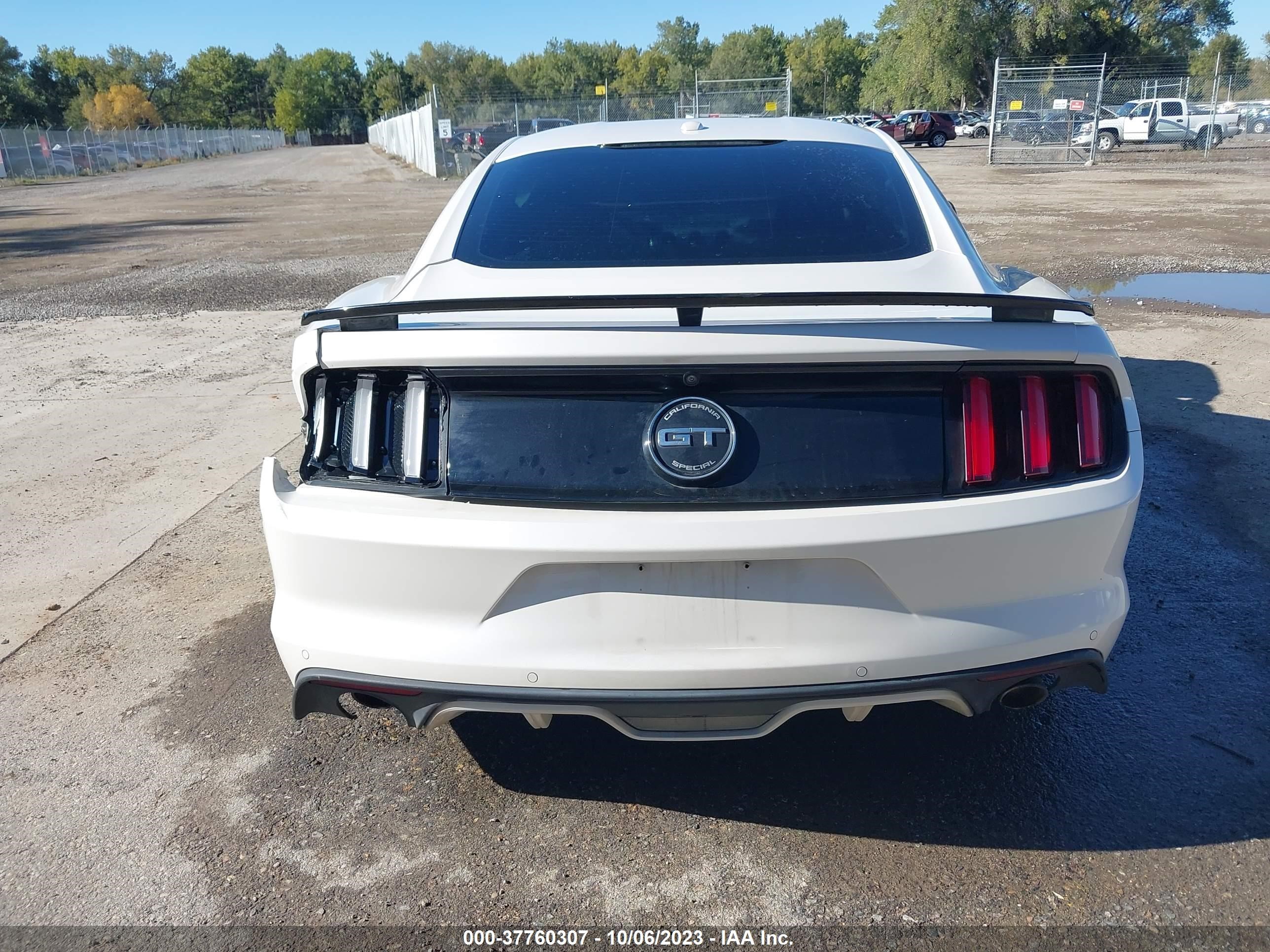 Photo 16 VIN: 1FA6P8CF1H5323918 - FORD MUSTANG 