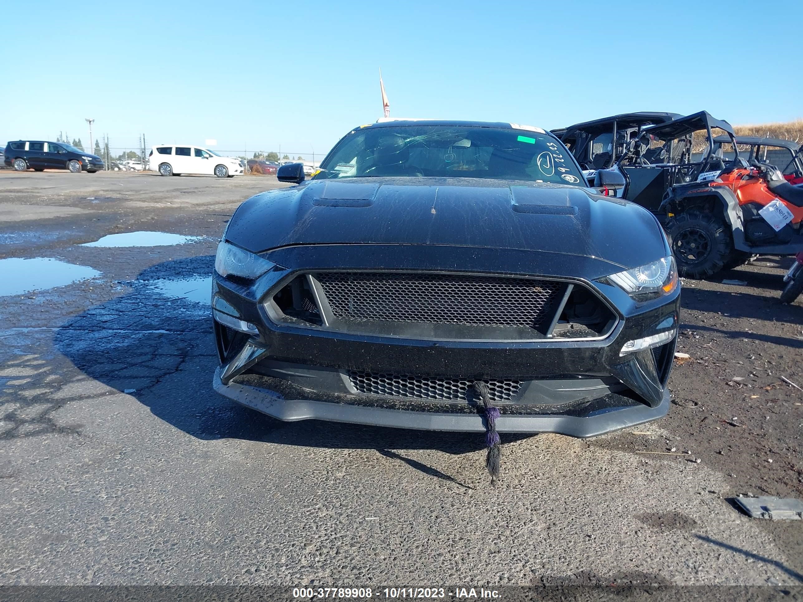 Photo 11 VIN: 1FA6P8CF1M5111319 - FORD MUSTANG 