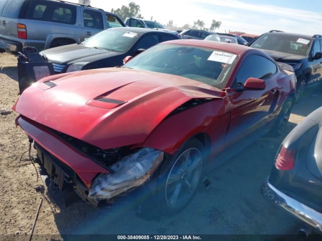 Photo 1 VIN: 1FA6P8CF1P5305059 - FORD MUSTANG 