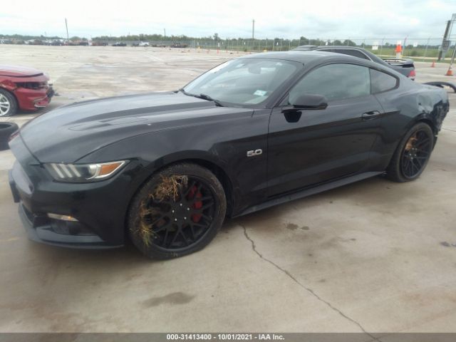 Photo 1 VIN: 1FA6P8CF2G5210428 - FORD MUSTANG 