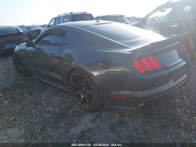 Photo 2 VIN: 1FA6P8CF2G5219369 - FORD MUSTANG 