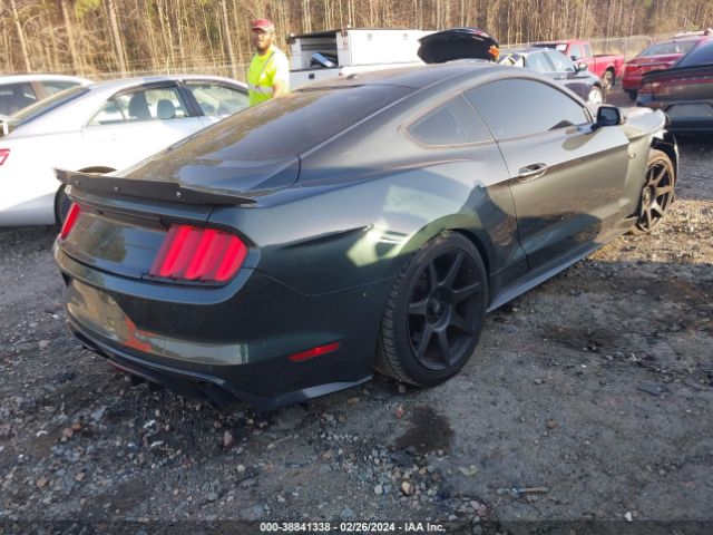 Photo 3 VIN: 1FA6P8CF2G5219369 - FORD MUSTANG 