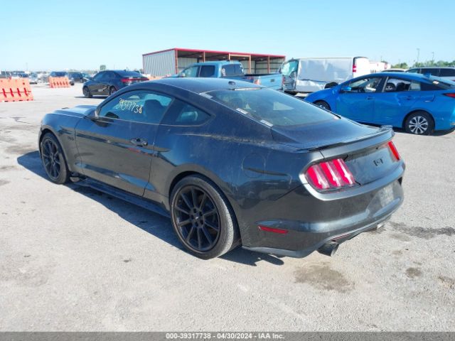 Photo 2 VIN: 1FA6P8CF2G5220683 - FORD MUSTANG 