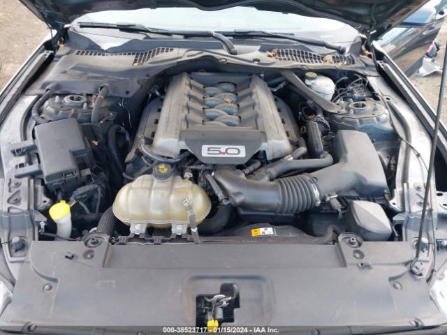 Photo 9 VIN: 1FA6P8CF2G5246796 - FORD MUSTANG 