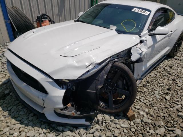 Photo 8 VIN: 1FA6P8CF2G5259208 - FORD MUSTANG GT 