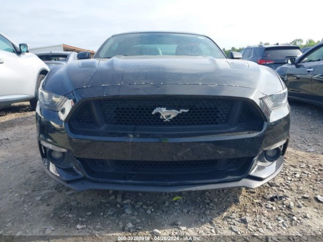 Photo 5 VIN: 1FA6P8CF2H5352022 - FORD MUSTANG 