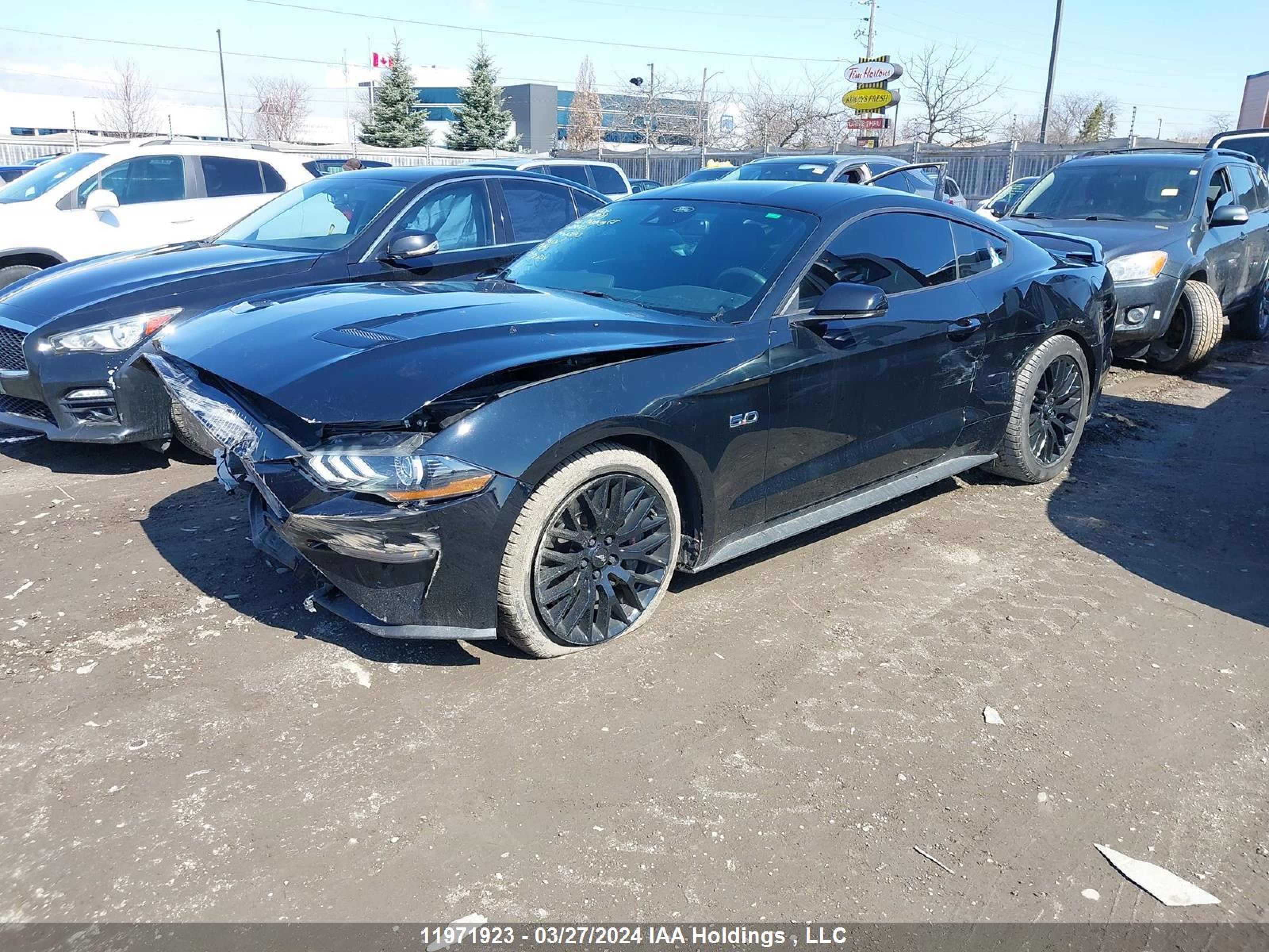 Photo 1 VIN: 1FA6P8CF2N5109872 - FORD MUSTANG 