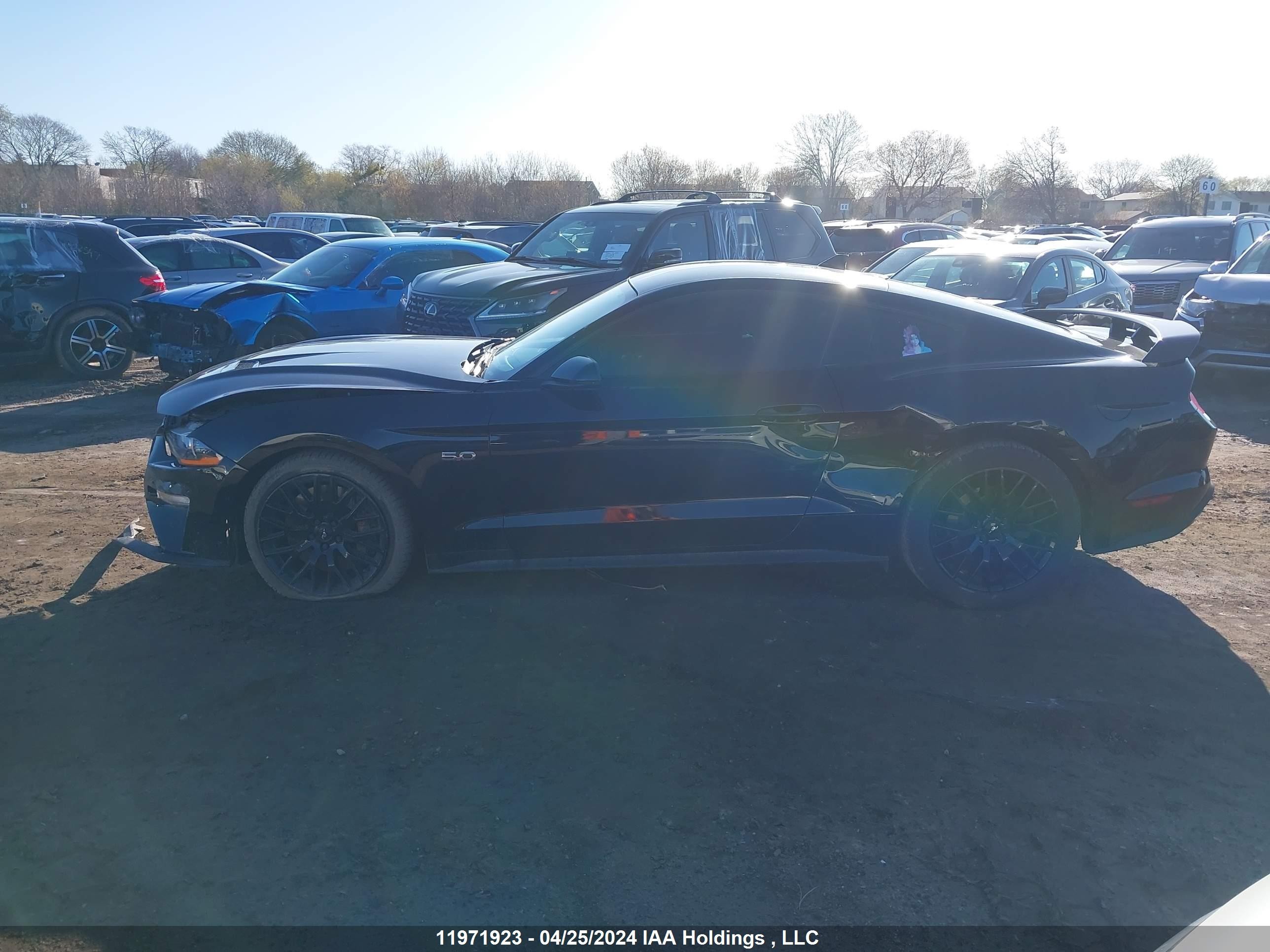 Photo 13 VIN: 1FA6P8CF2N5109872 - FORD MUSTANG 