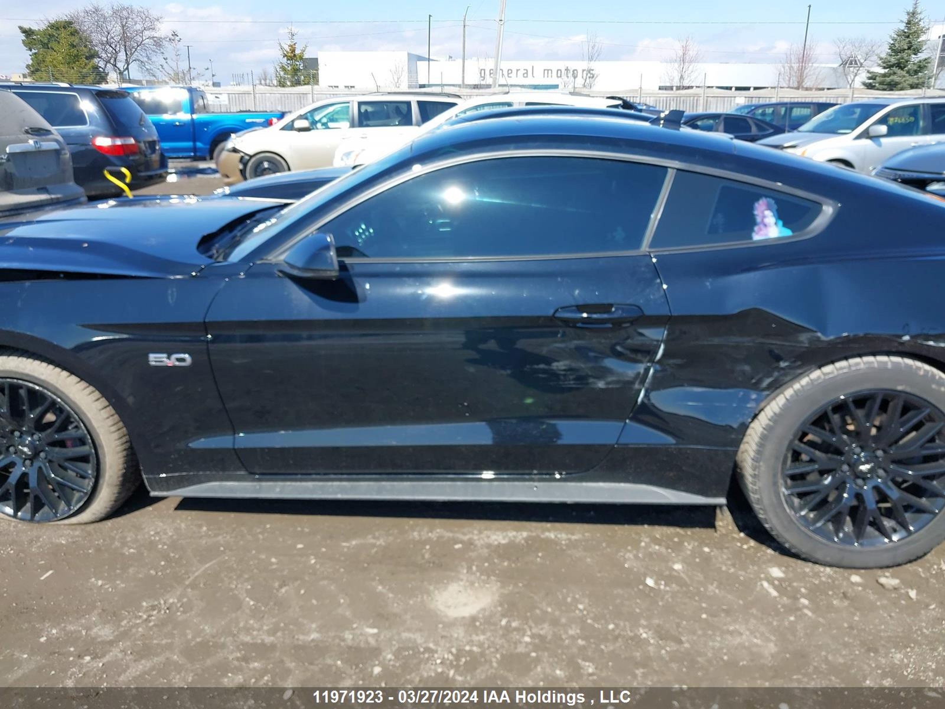 Photo 14 VIN: 1FA6P8CF2N5109872 - FORD MUSTANG 