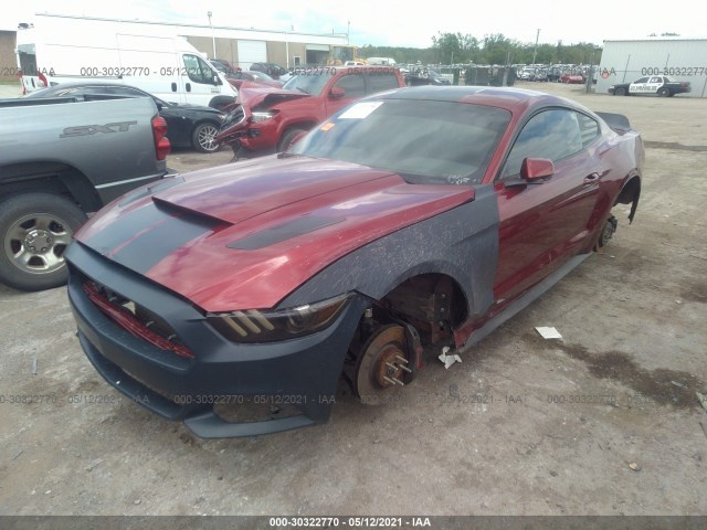 Photo 1 VIN: 1FA6P8CF3F5362703 - FORD MUSTANG 