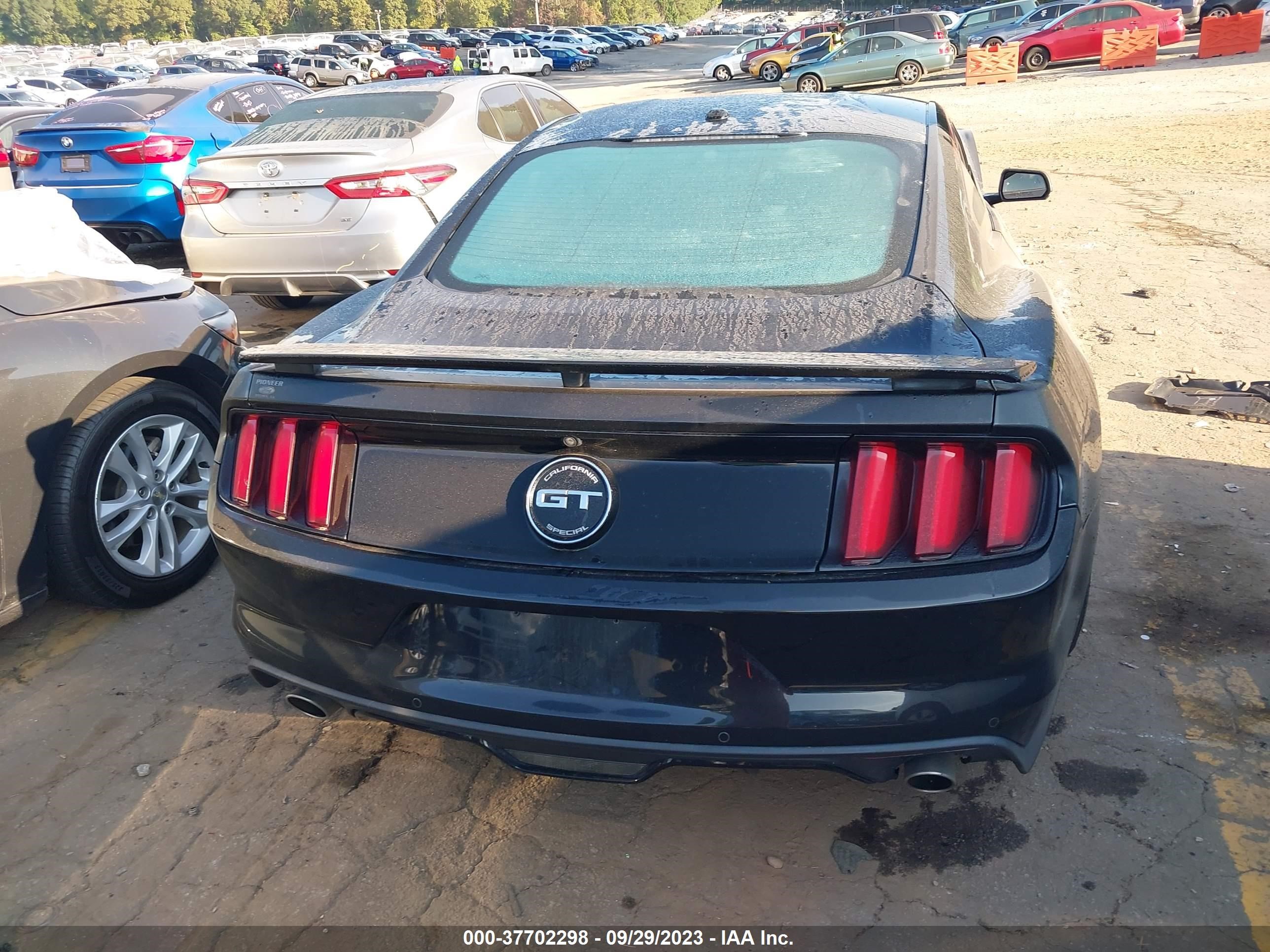 Photo 14 VIN: 1FA6P8CF3G5200989 - FORD MUSTANG 