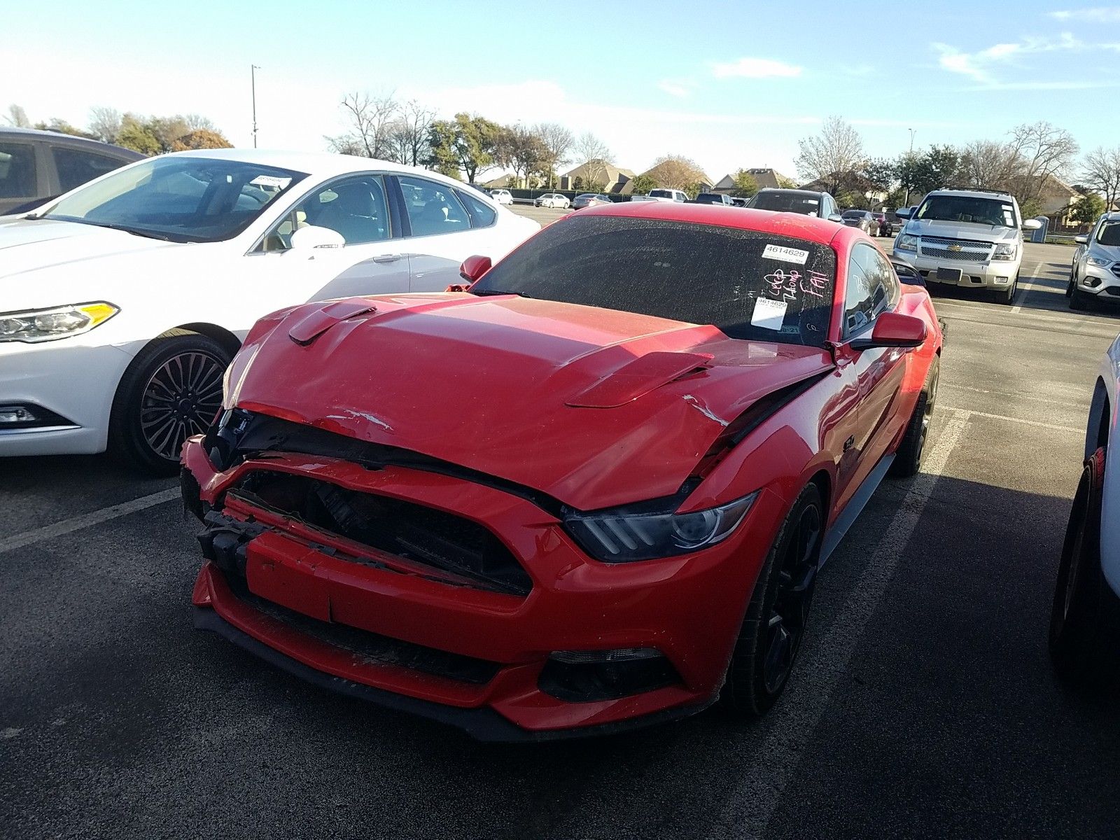 Photo 0 VIN: 1FA6P8CF3G5267706 - FORD MUSTANG V8 CPE 