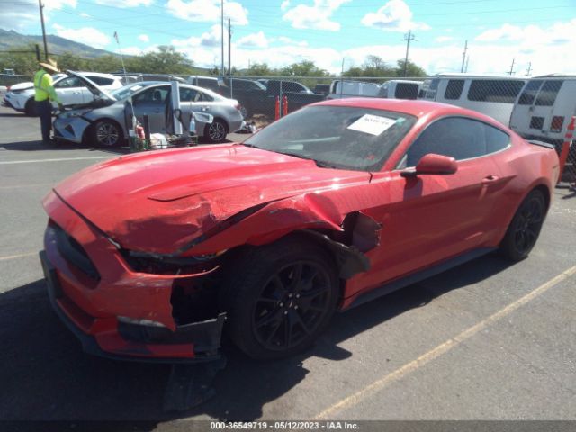 Photo 1 VIN: 1FA6P8CF3H5258943 - FORD MUSTANG 