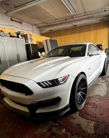 Photo 1 VIN: 1FA6P8CF3H5318087 - FORD MUSTANG GT 