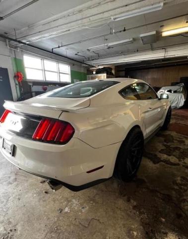 Photo 2 VIN: 1FA6P8CF3H5318087 - FORD MUSTANG GT 