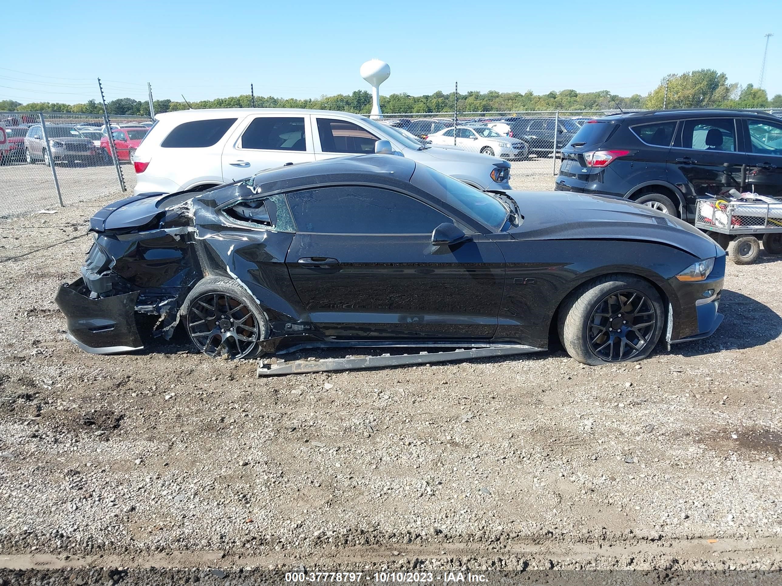 Photo 13 VIN: 1FA6P8CF3J5146780 - FORD MUSTANG 