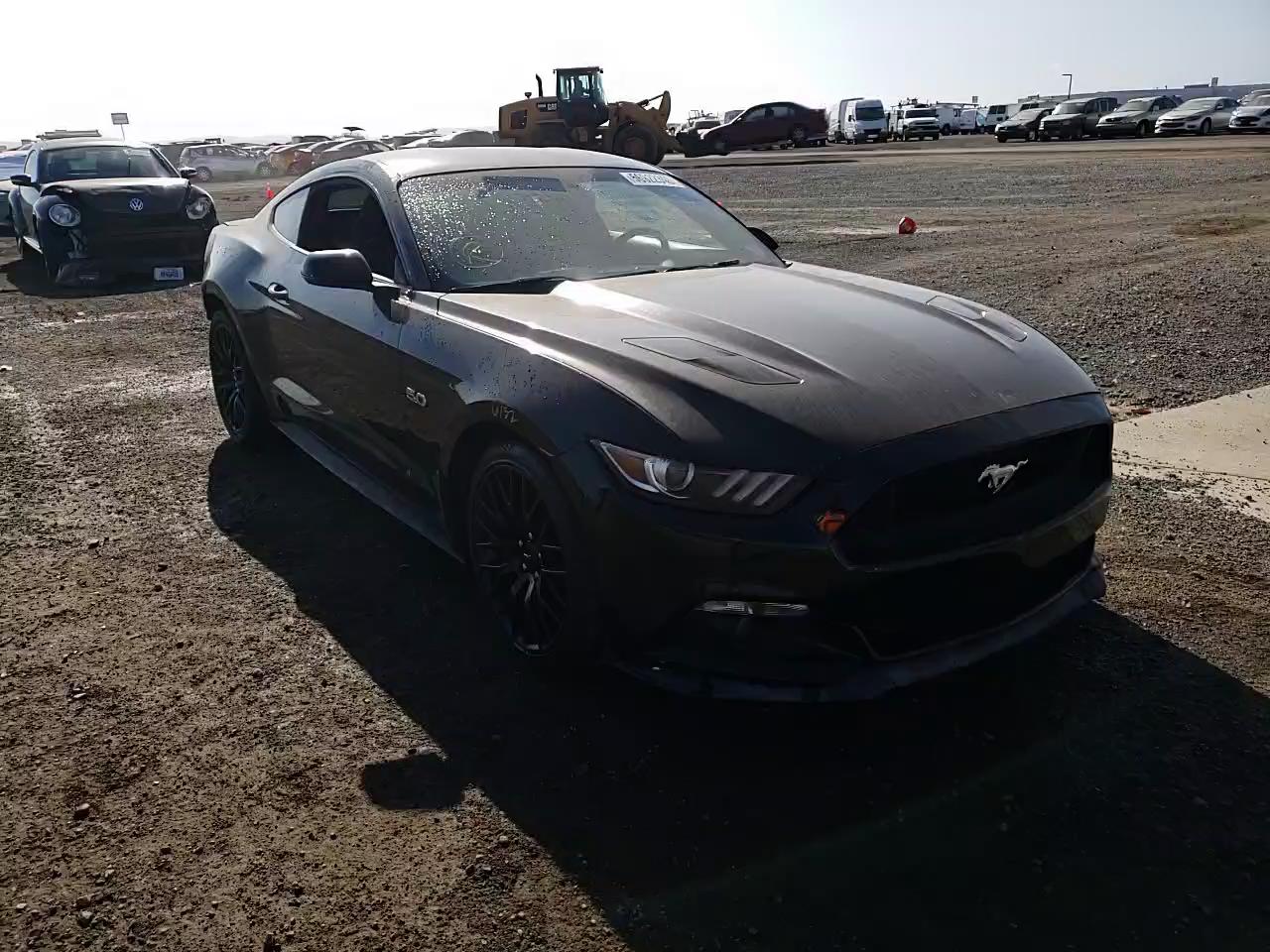 Photo 10 VIN: 1FA6P8CF4F5351029 - FORD MUSTANG GT 