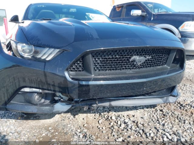 Photo 5 VIN: 1FA6P8CF4G5208373 - FORD MUSTANG 