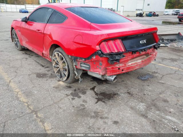 Photo 5 VIN: 1FA6P8CF4G5283056 - FORD MUSTANG 