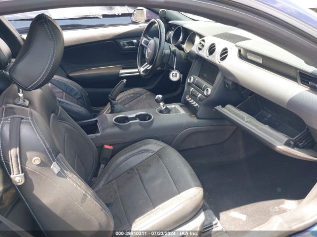 Photo 4 VIN: 1FA6P8CF4K5109044 - FORD MUSTANG 