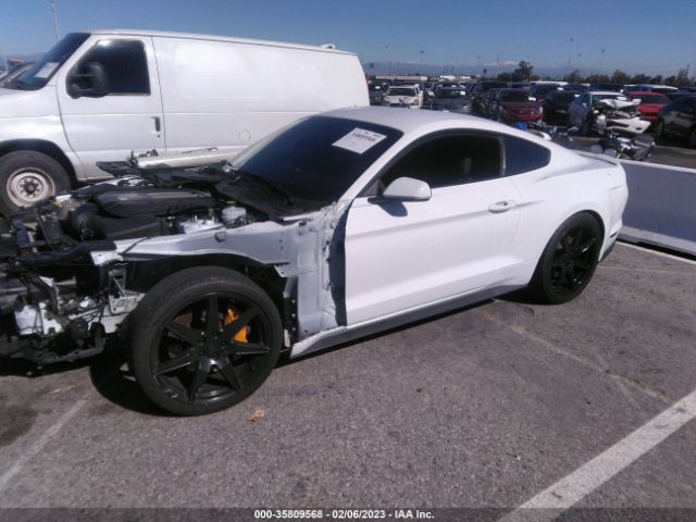 Photo 1 VIN: 1FA6P8CF4K5202436 - FORD MUSTANG 