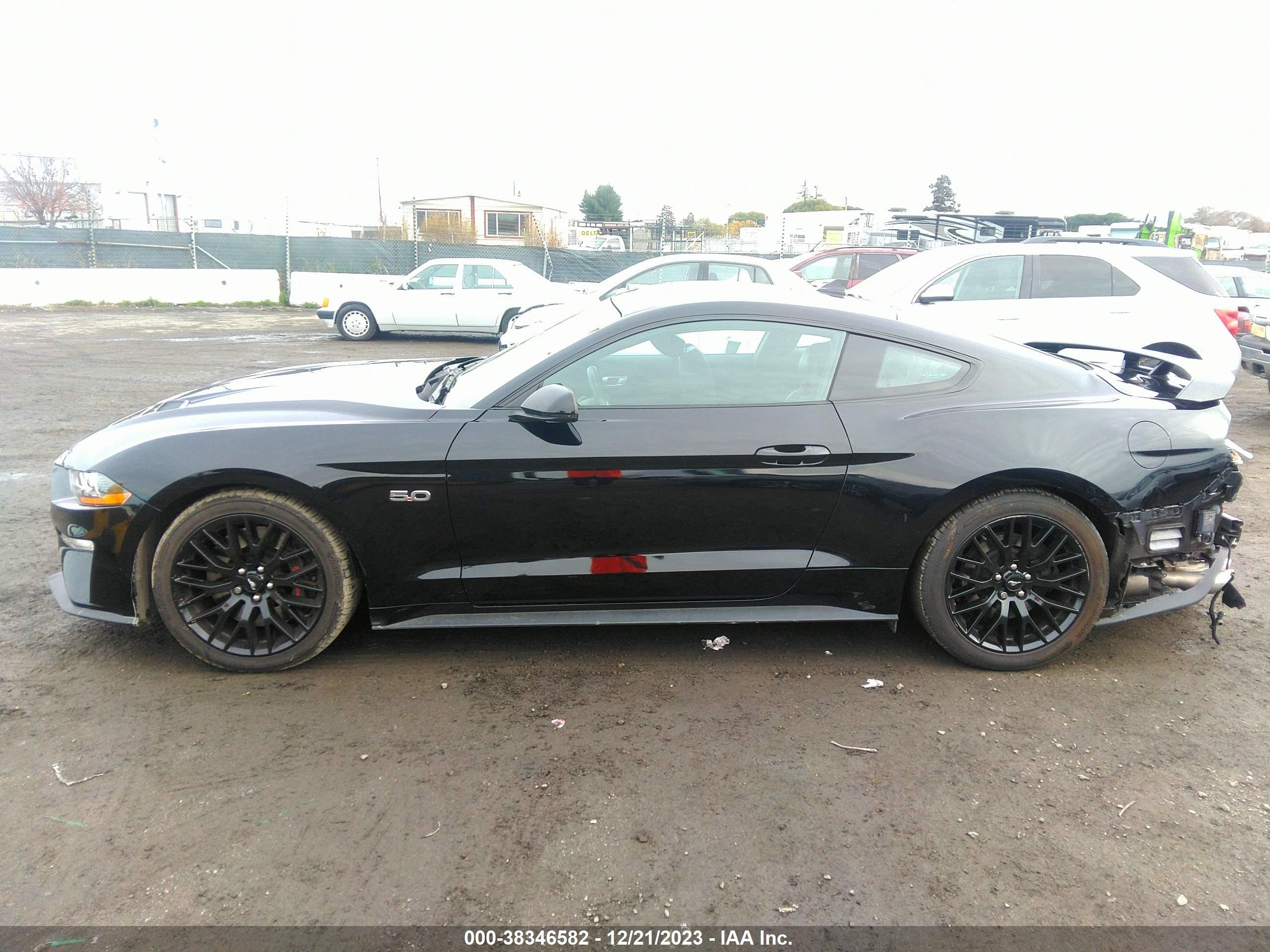 Photo 14 VIN: 1FA6P8CF4M5122380 - FORD MUSTANG 