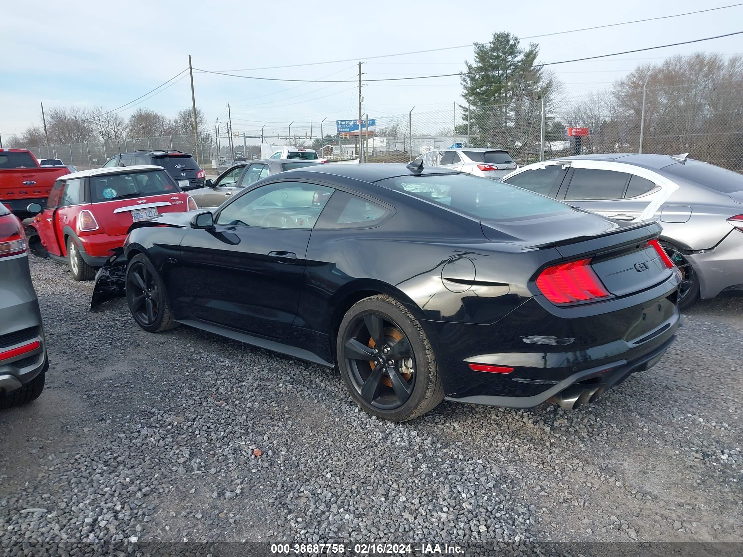 Photo 2 VIN: 1FA6P8CF4M5148266 - FORD MUSTANG 