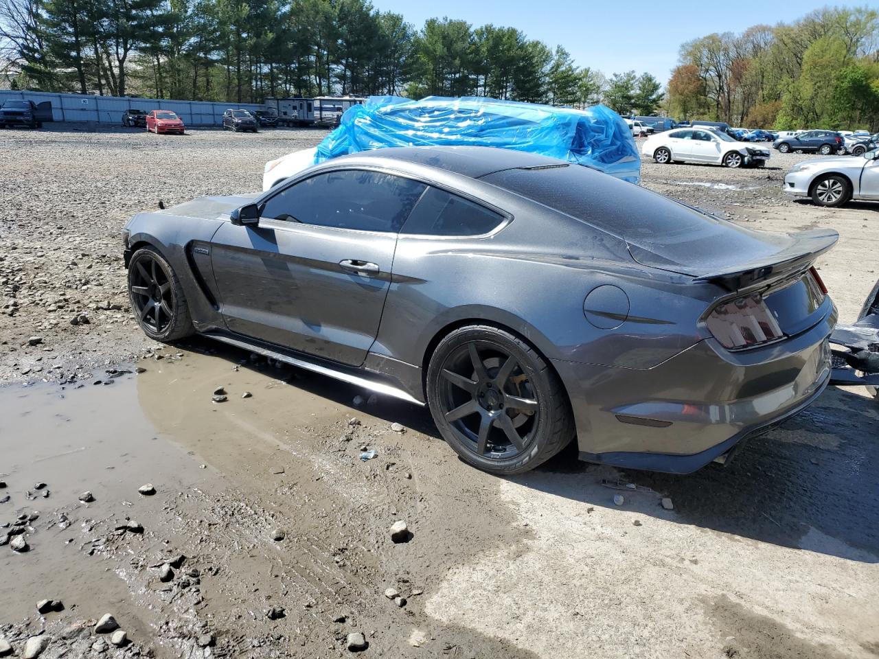 Photo 1 VIN: 1FA6P8CF5F5313308 - FORD MUSTANG 