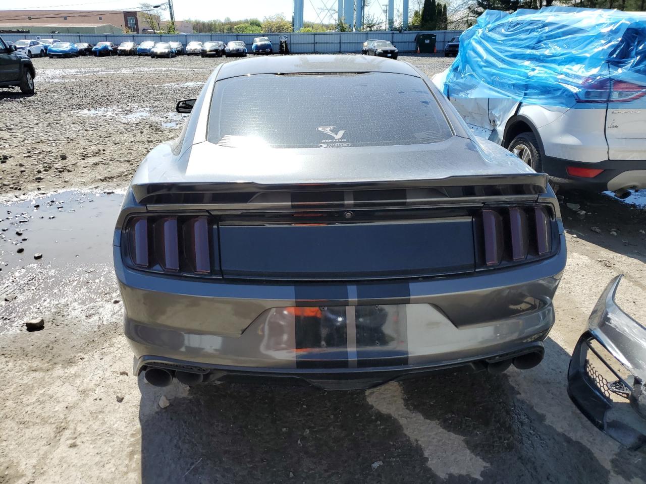 Photo 5 VIN: 1FA6P8CF5F5313308 - FORD MUSTANG 