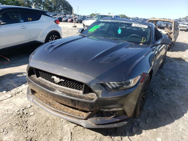 Photo 1 VIN: 1FA6P8CF5G5244802 - FORD MUSTANG GT 