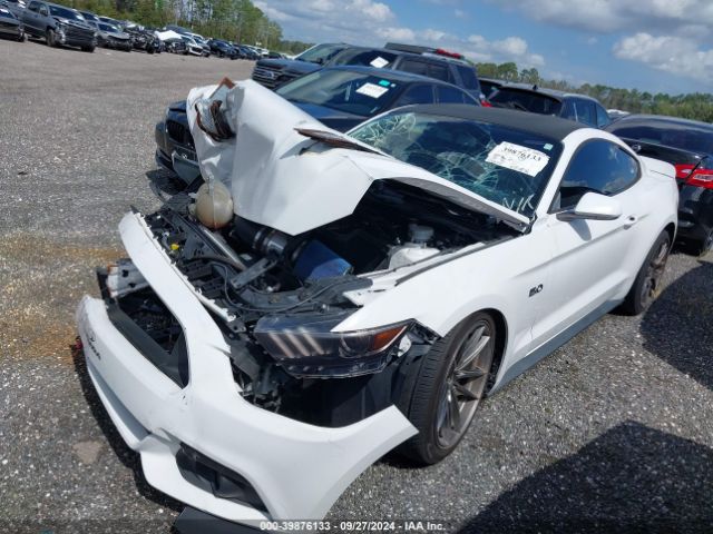 Photo 1 VIN: 1FA6P8CF5H5322061 - FORD MUSTANG 