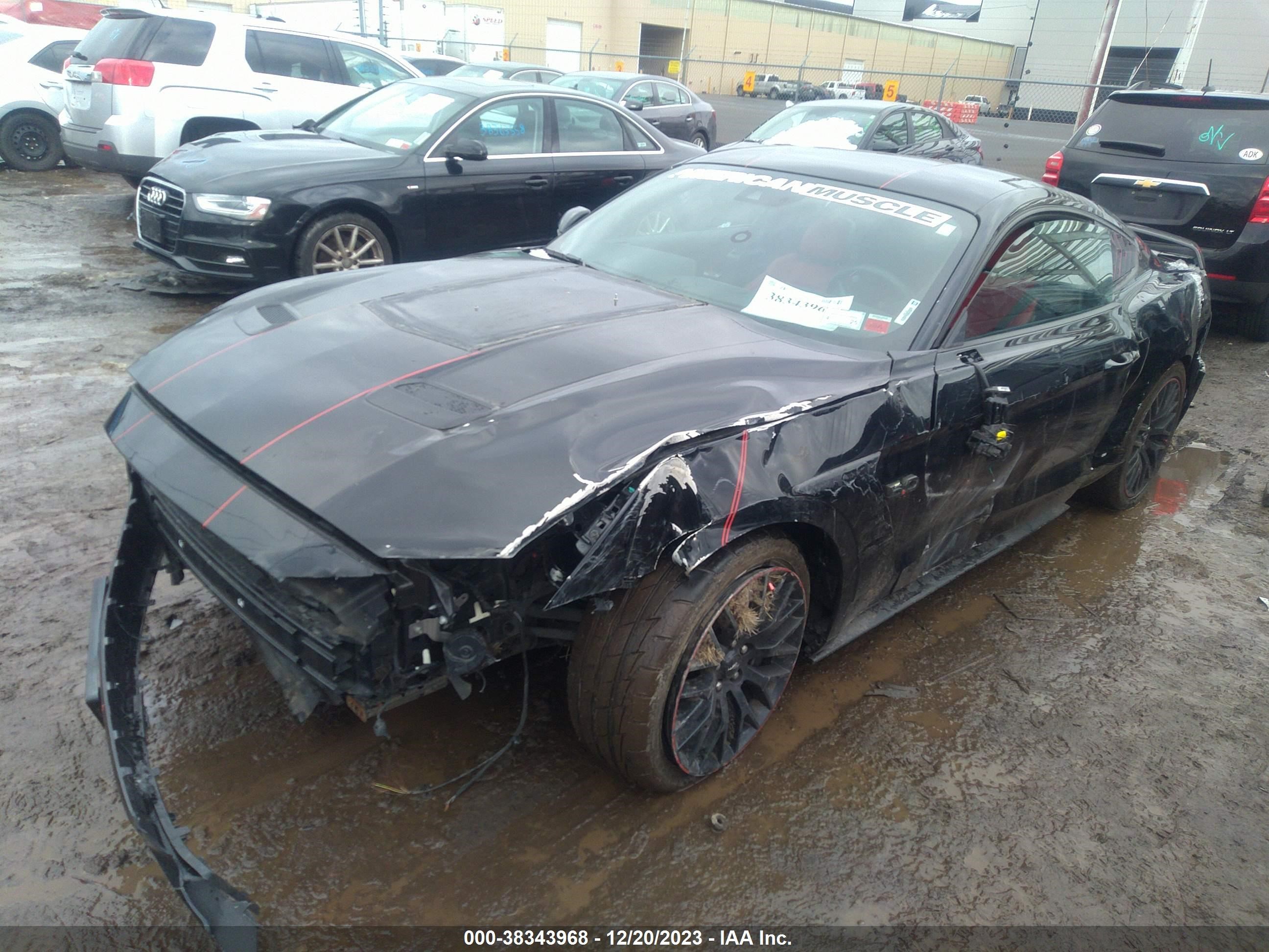 Photo 1 VIN: 1FA6P8CF5K5172914 - FORD MUSTANG 