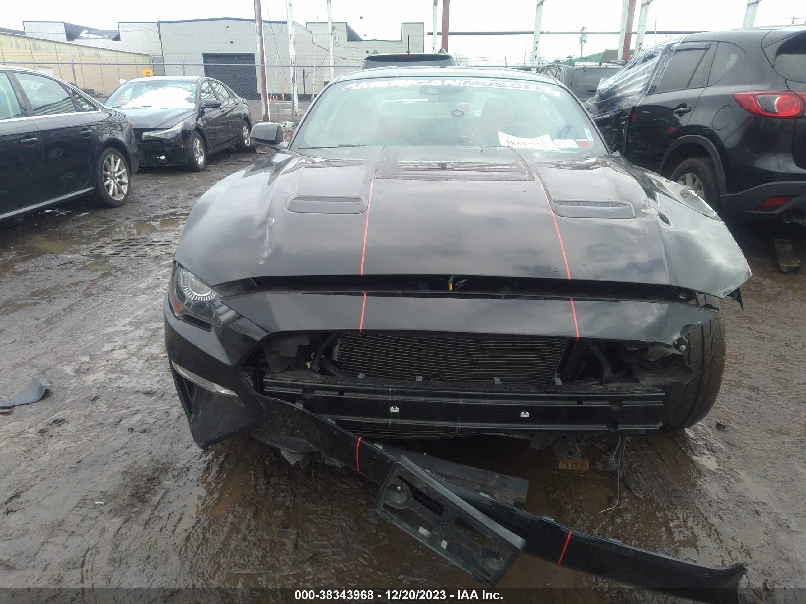 Photo 11 VIN: 1FA6P8CF5K5172914 - FORD MUSTANG 