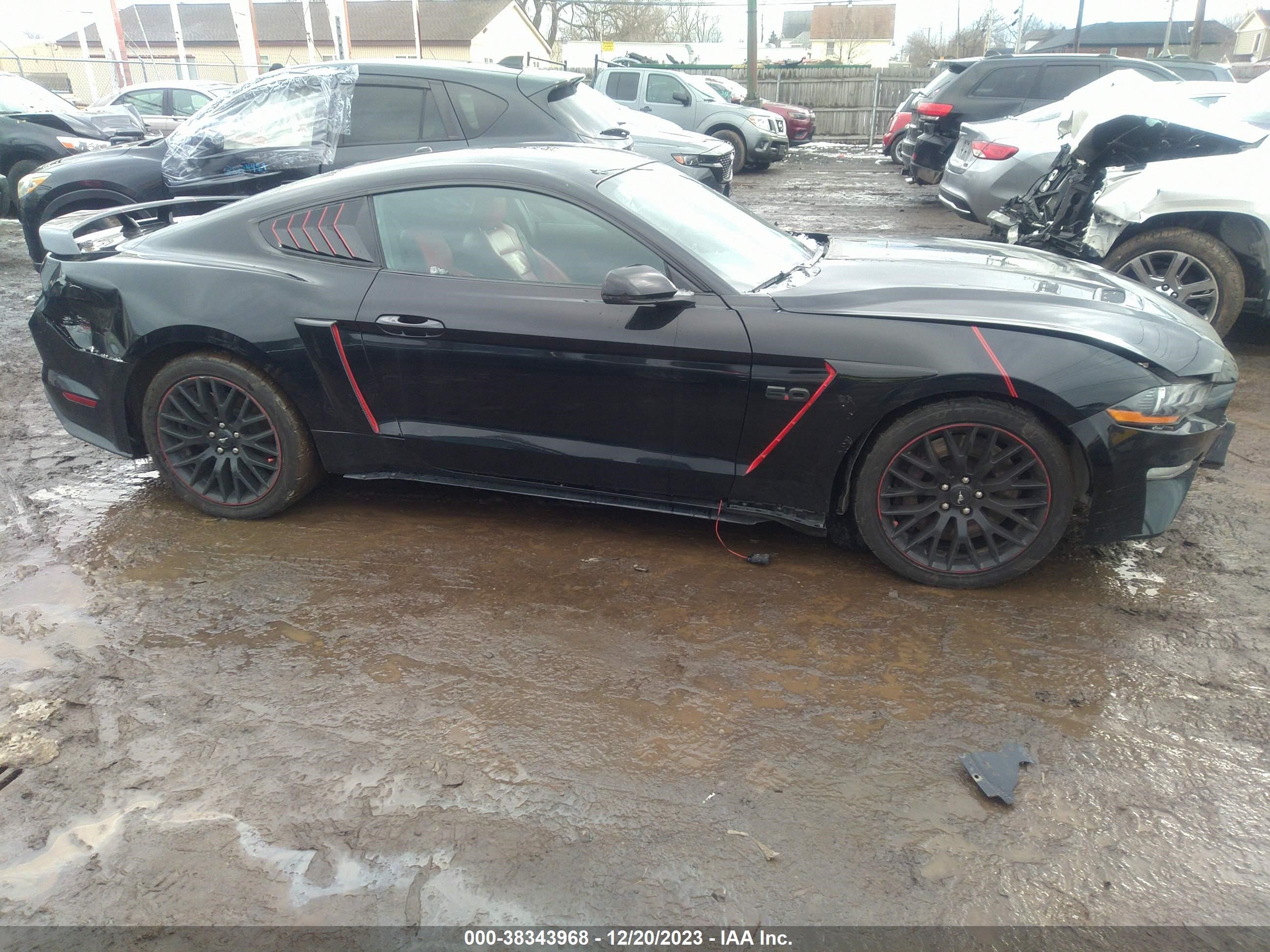 Photo 12 VIN: 1FA6P8CF5K5172914 - FORD MUSTANG 