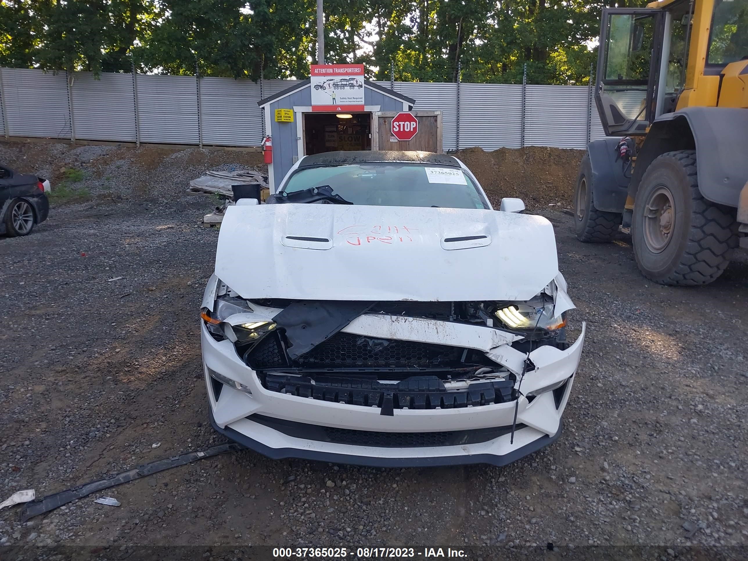 Photo 12 VIN: 1FA6P8CF5L5118109 - FORD MUSTANG 