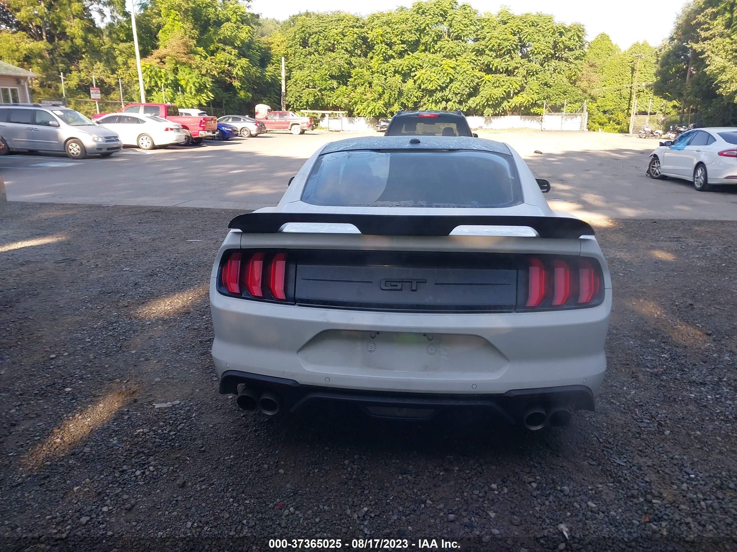 Photo 16 VIN: 1FA6P8CF5L5118109 - FORD MUSTANG 