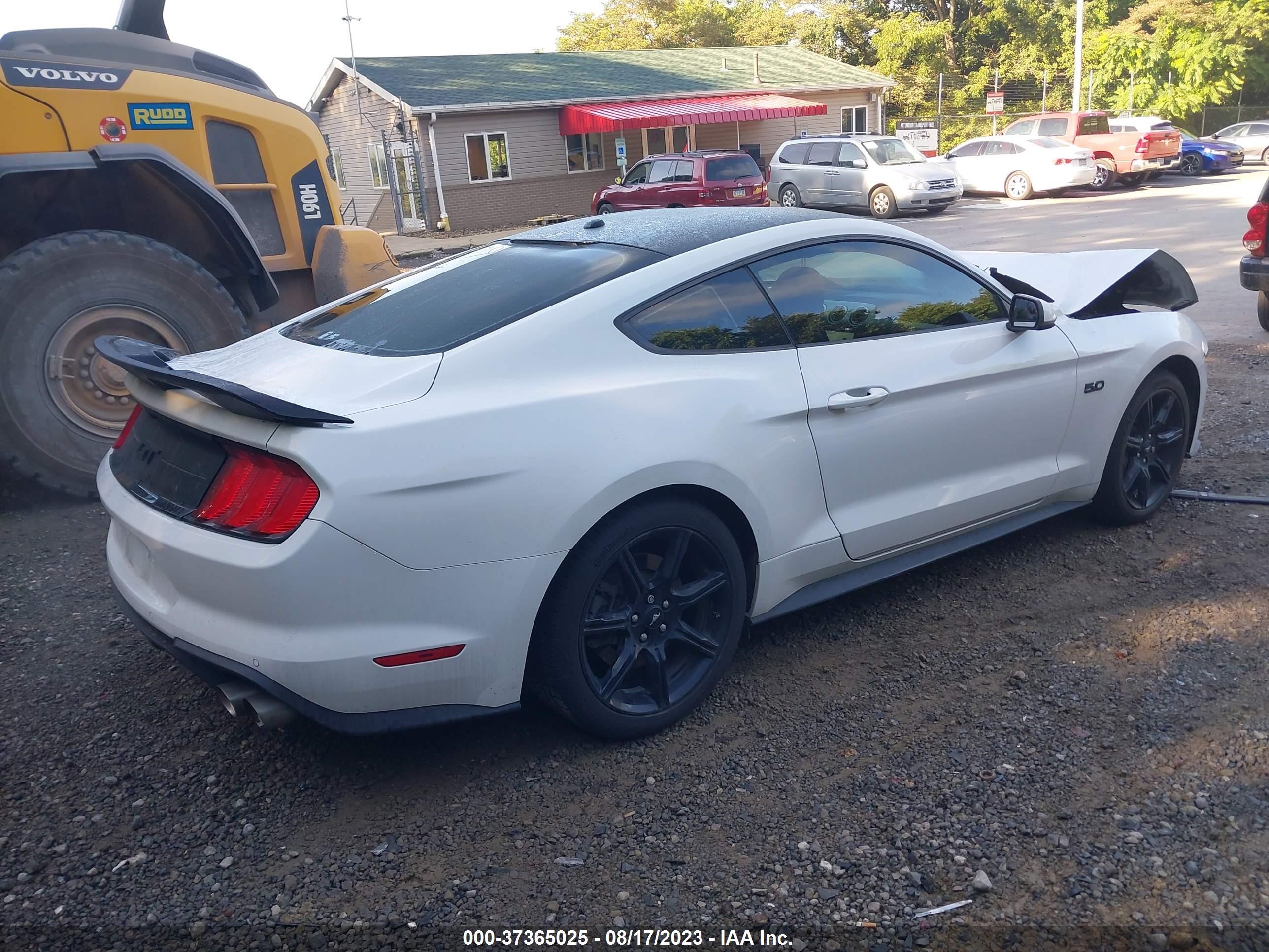 Photo 3 VIN: 1FA6P8CF5L5118109 - FORD MUSTANG 