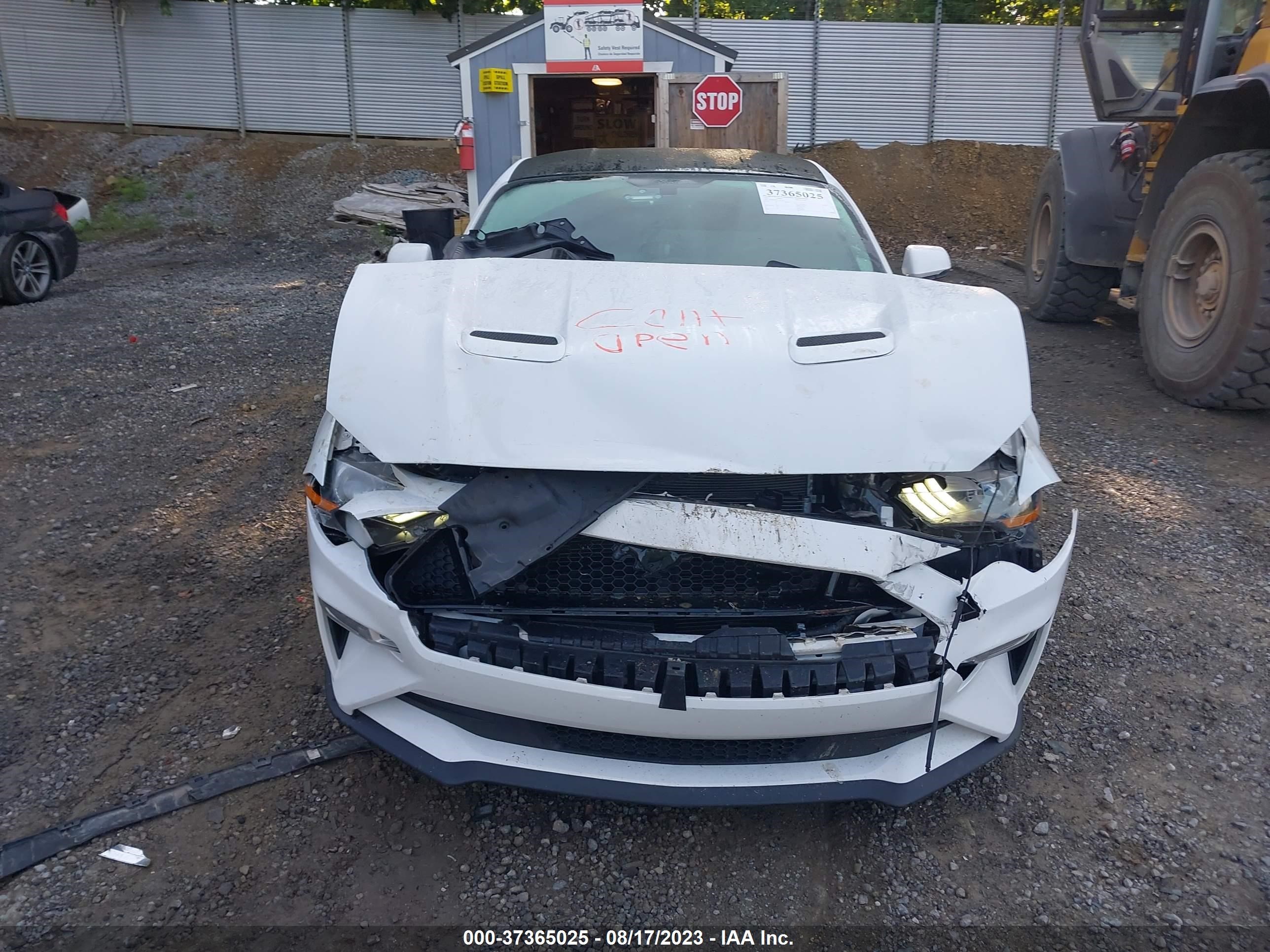 Photo 5 VIN: 1FA6P8CF5L5118109 - FORD MUSTANG 