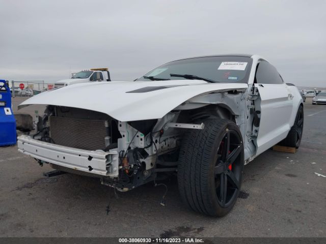 Photo 5 VIN: 1FA6P8CF6F5357155 - FORD MUSTANG 