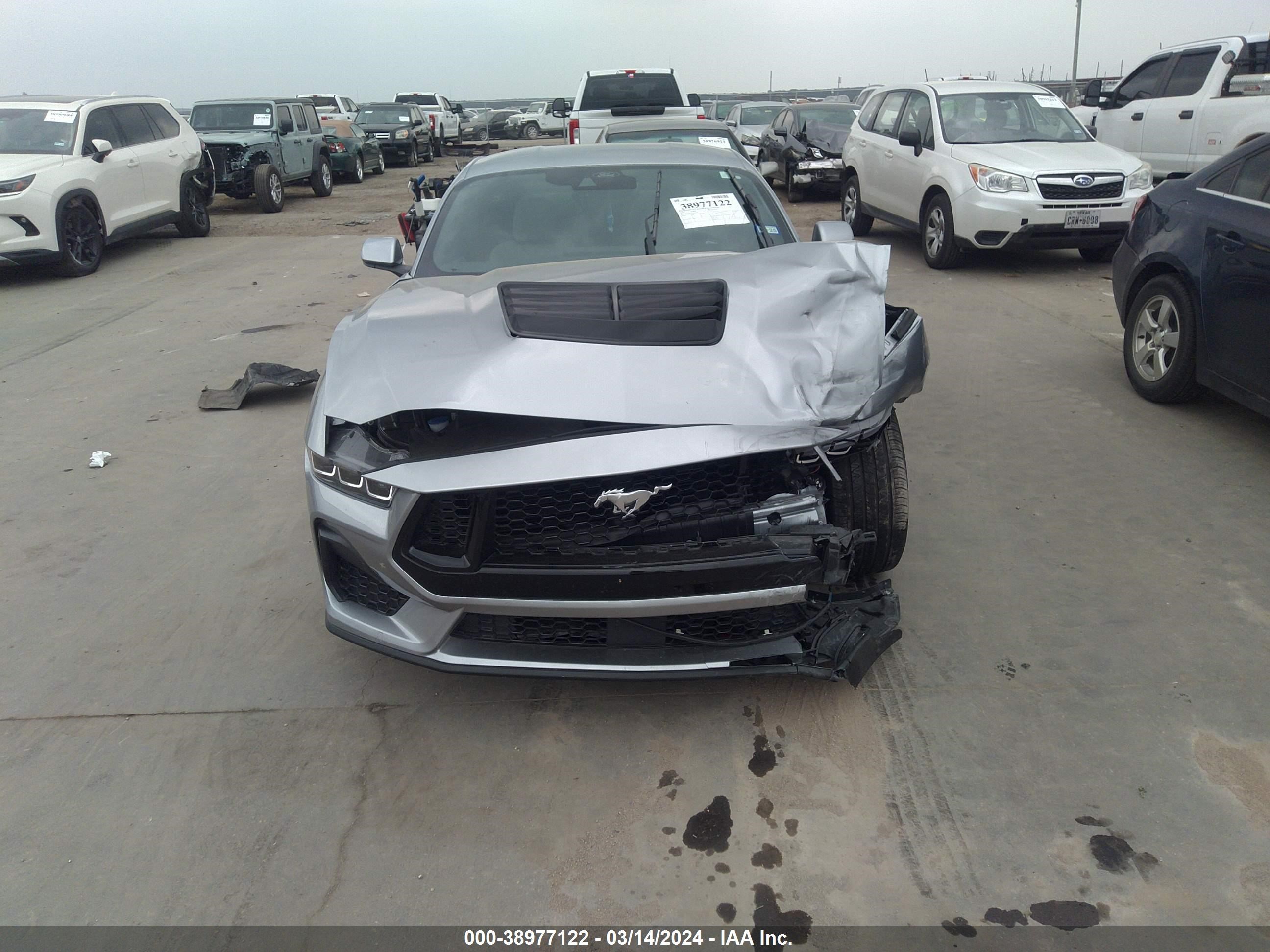 Photo 11 VIN: 1FA6P8CF6R5406116 - FORD MUSTANG 