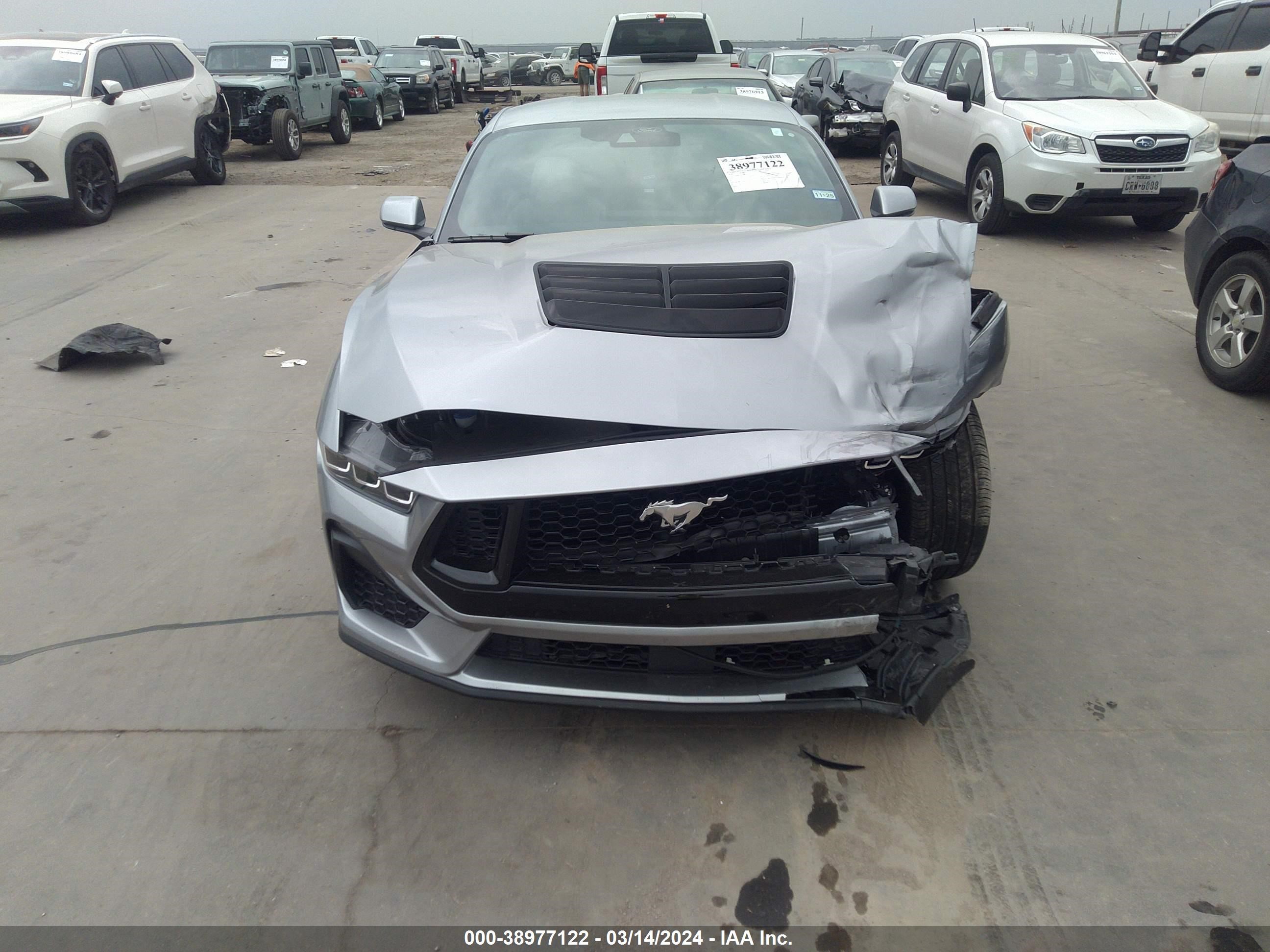 Photo 5 VIN: 1FA6P8CF6R5406116 - FORD MUSTANG 