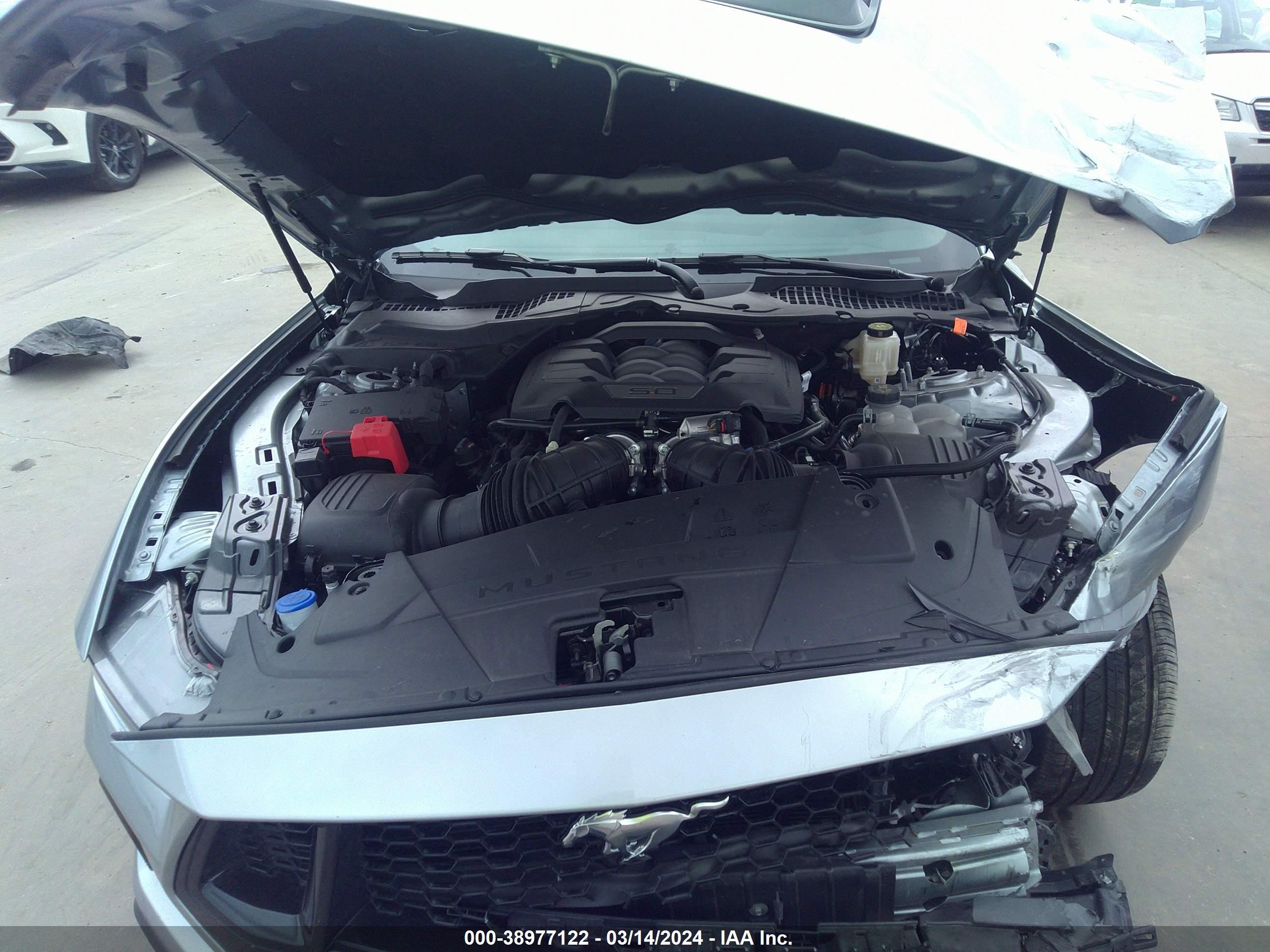 Photo 9 VIN: 1FA6P8CF6R5406116 - FORD MUSTANG 